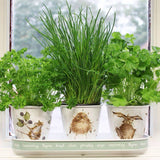Wrendale Herb Pots And Tray