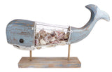 Whale Shell Collector