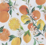 Gisela Graham Orange And Lemon Set Of 20 Napkins