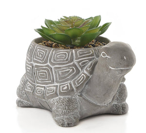 Stoneware Effect Tortoise Planter With Succulent