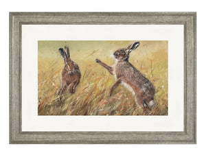 Mad March Boxing Hares Picture