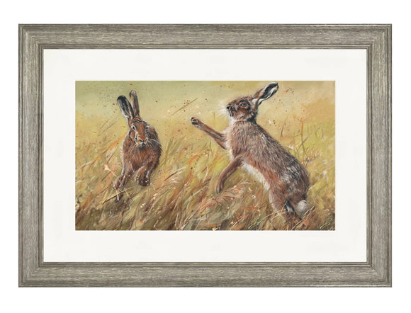 Mad March Boxing Hares Picture