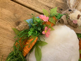 Peter Rabbit Wall Hanger/Wreath