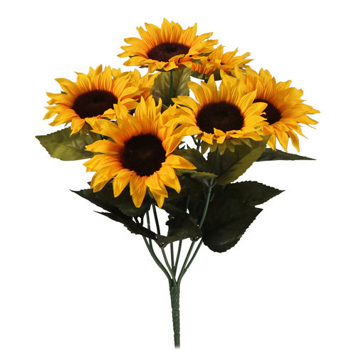 Multi headed sunflower deals