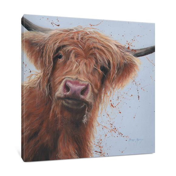 Hamish Highland Cow Canvas