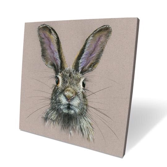 Harper Hare Box Canvas Picture