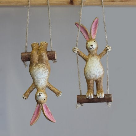 Standing Bunny On A Swing