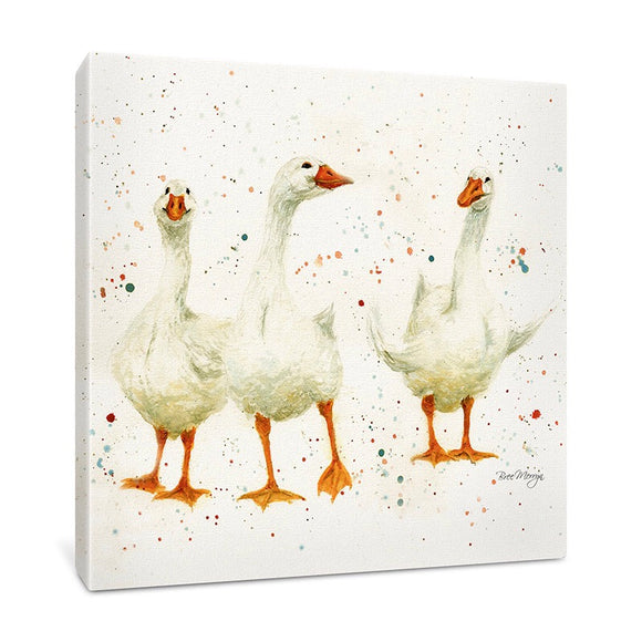 Bree Merryn Going For A Gander Geese Boxed Canvas