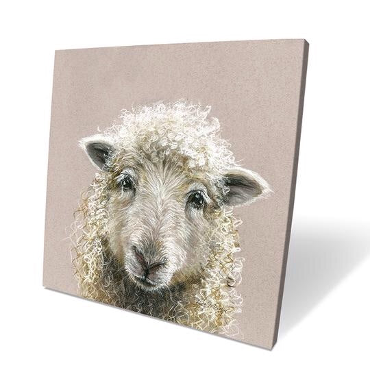 Suzy Sheep Box Canvas Picture