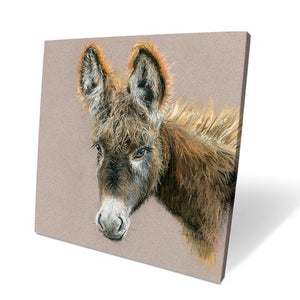Duncan Donkey Box Canvas Picture
