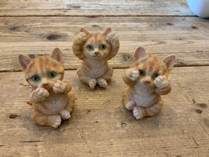 3 Wise Cats See/Hear/Speak No Evil
