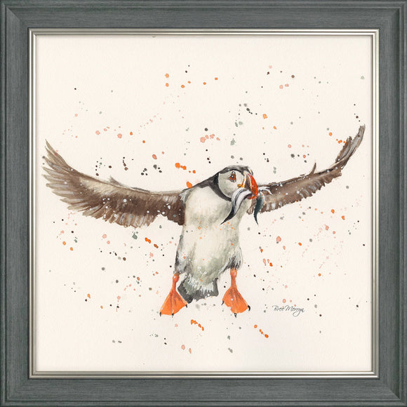 Piper Puffin Framed Picture