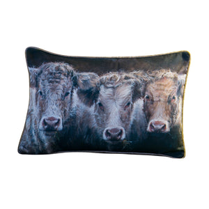 Trilogy Of Cows Cushion