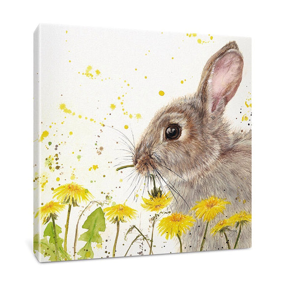 Bree Merryn Dandelion Delight Hare Boxed Canvas