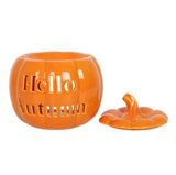 Hello Autumn Pumpkin Wax Melt / Oil Burner