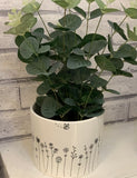 Bumble And Bloom Ceramic Planter