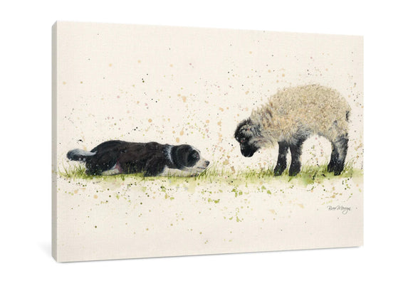 Pleased To Meet Ewe  Sheep Duo Canvas Picture