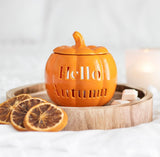 Hello Autumn Pumpkin Wax Melt / Oil Burner