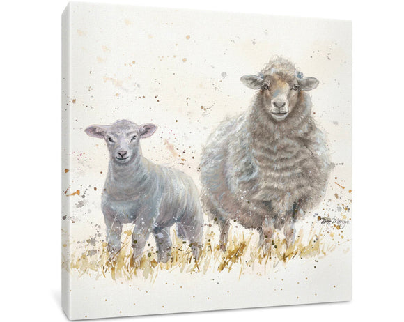 Mum And Lamb Sheep Box Canvas Picture