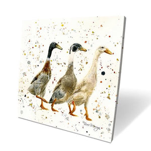 The Three Duckgrees Box Canvas Picture